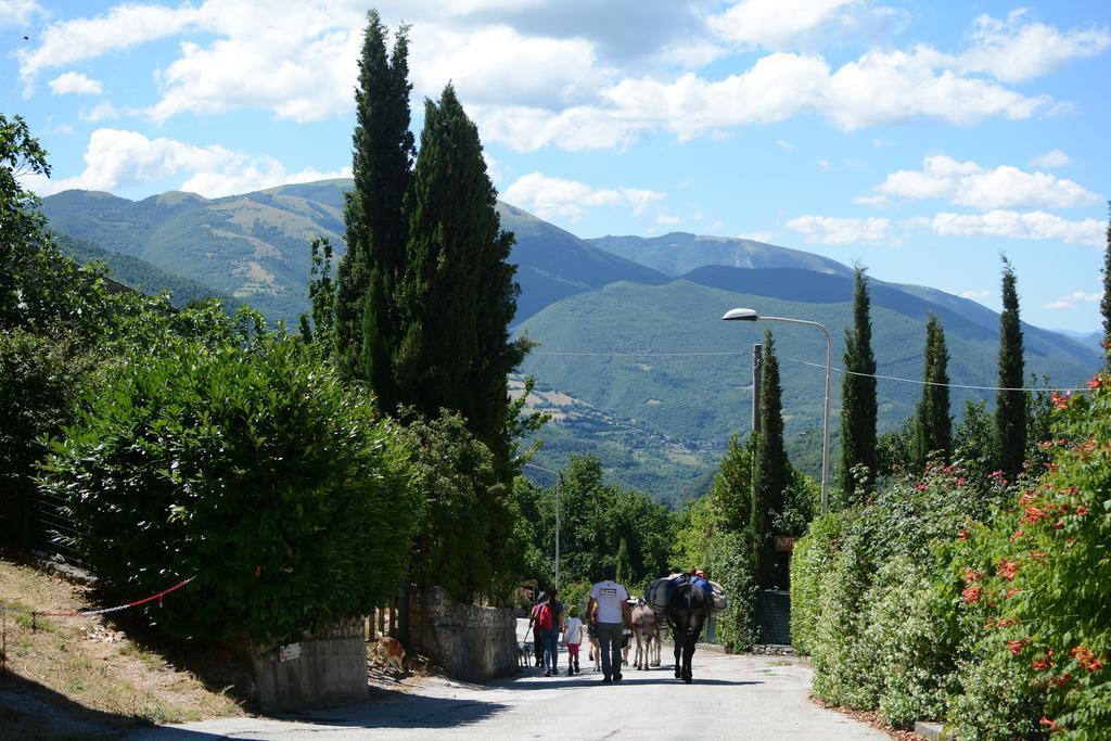 Agriturismo Campagna In Compagnia Vallo di Nera Extérieur photo