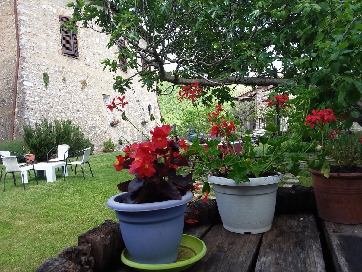 Agriturismo Campagna In Compagnia Vallo di Nera Extérieur photo